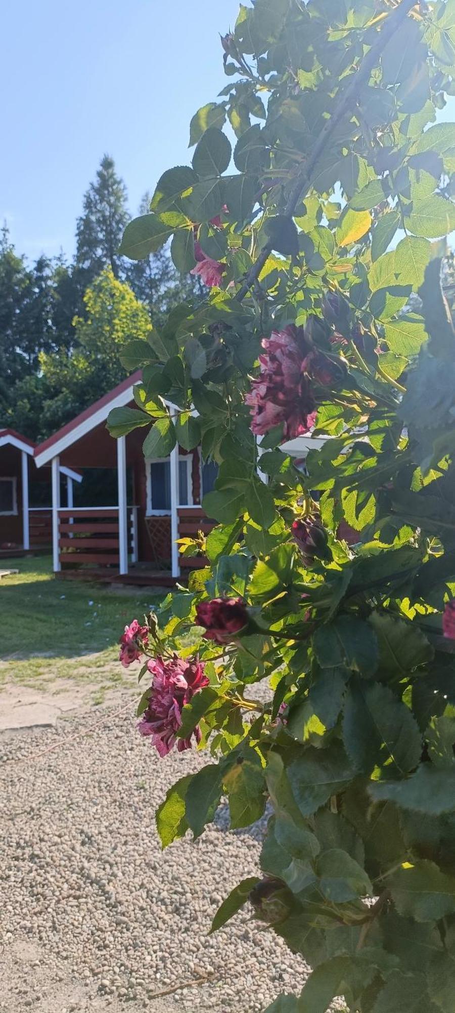 Na Zaciszu Villa Dziwnówek Kültér fotó